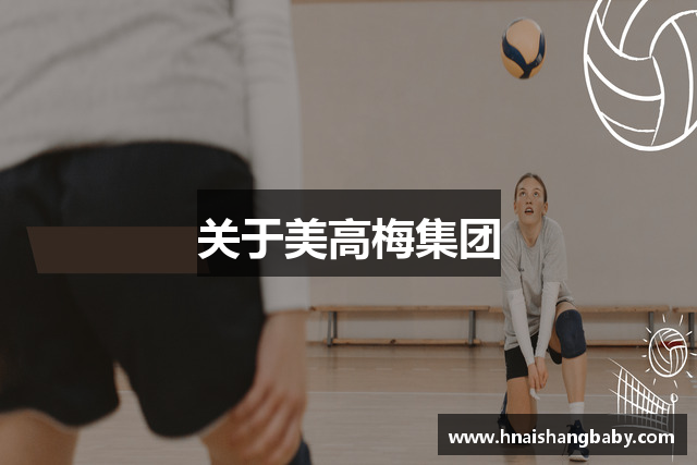 关于美高梅集团